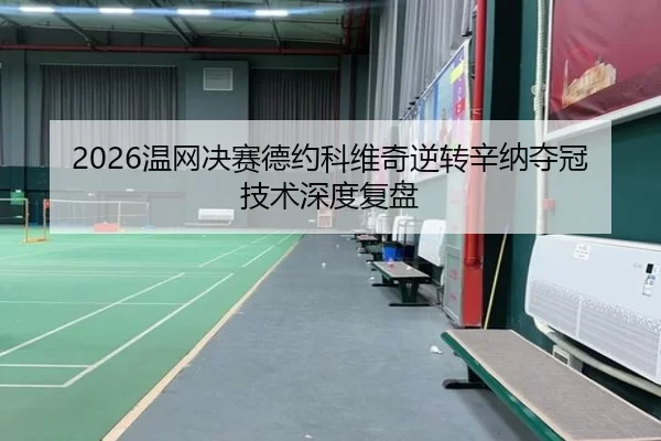 2026温网决赛德约科维奇逆转辛纳夺冠技术深度复盘
